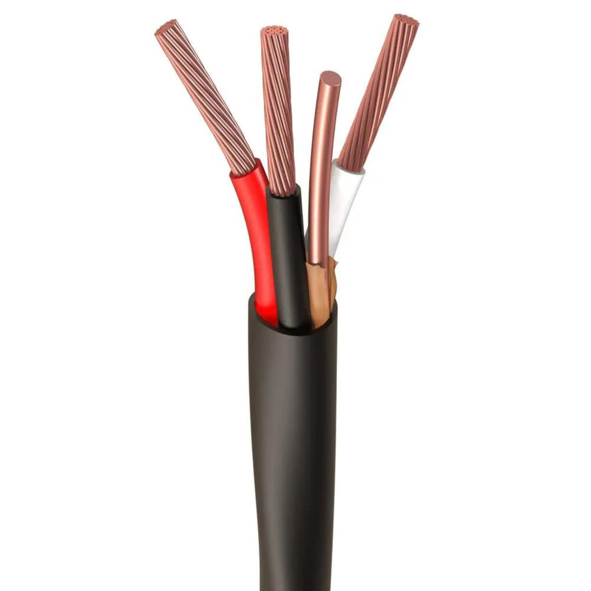 Black 100 Ft Non-Metallic Sheathed Cable Y19213