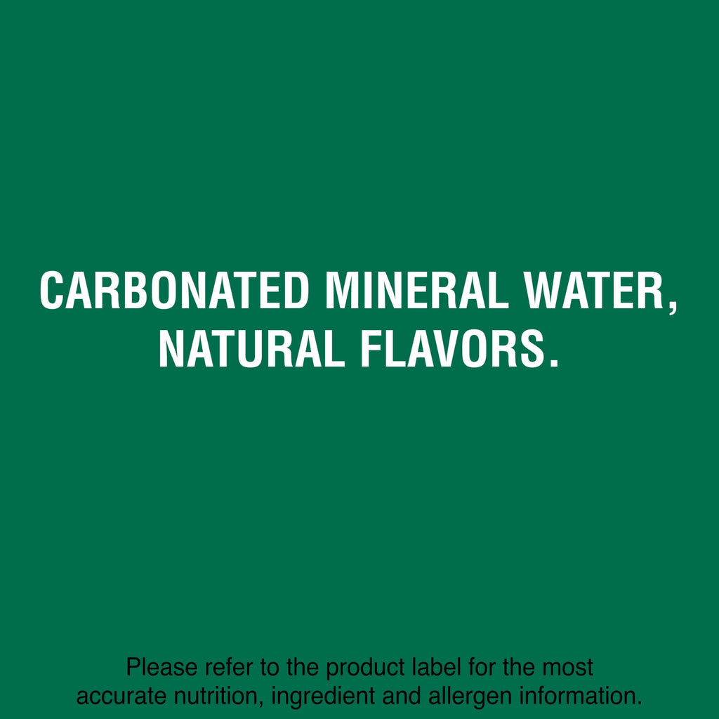 Lime Flavored Sparkling Water 16.9 FL OZ 24 Count R590