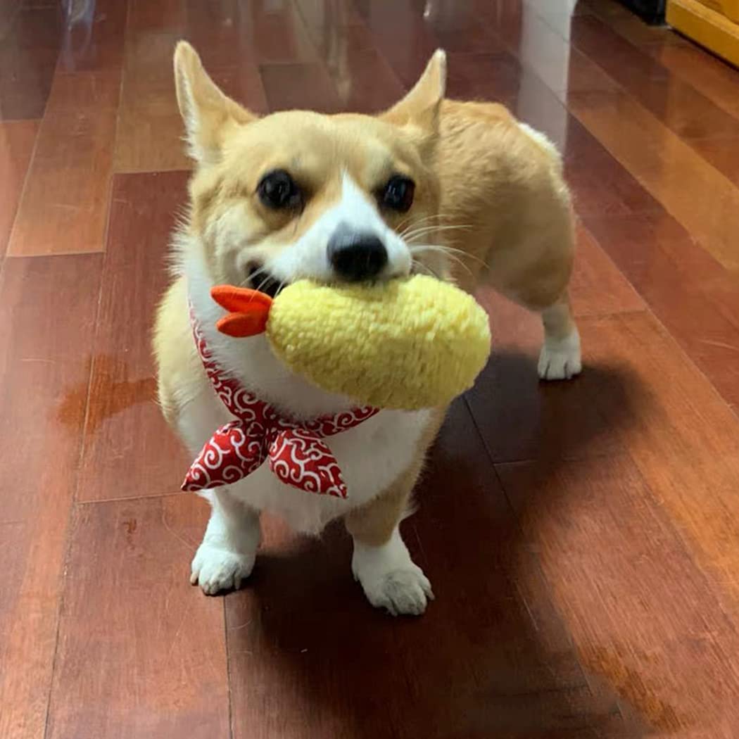 Bite Proof Squeaky Dog Toy L8314