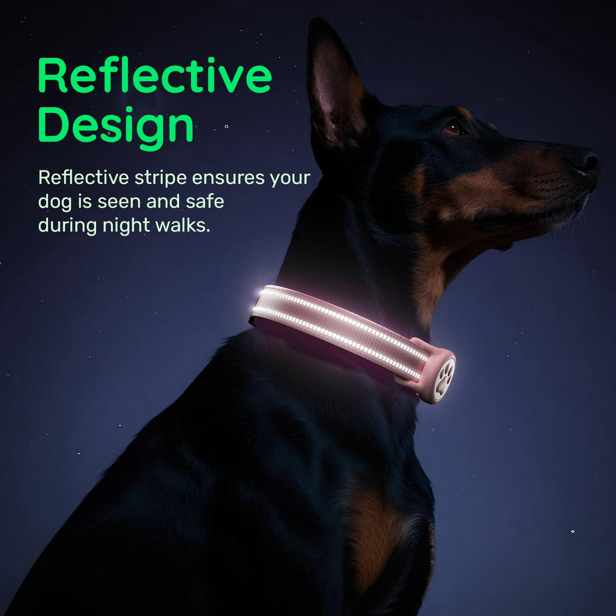 Pink IP68 Waterproof Dog Collar L1935