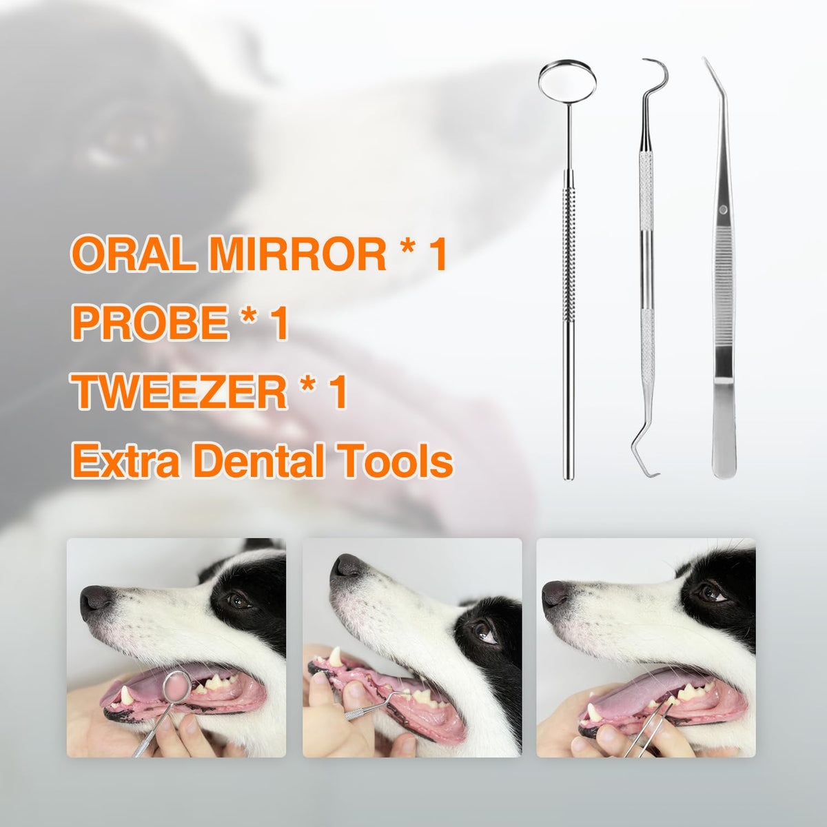 Ultrasonic Dog Plaque Remover with LED Light I923448