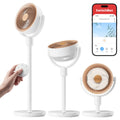Rechargeable Oscillating Standing Fan D8236