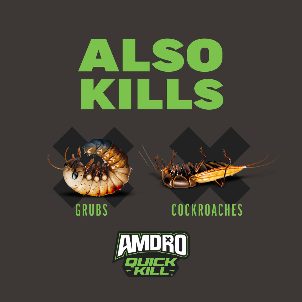 Ant & Spider Killer 3 lb O198138