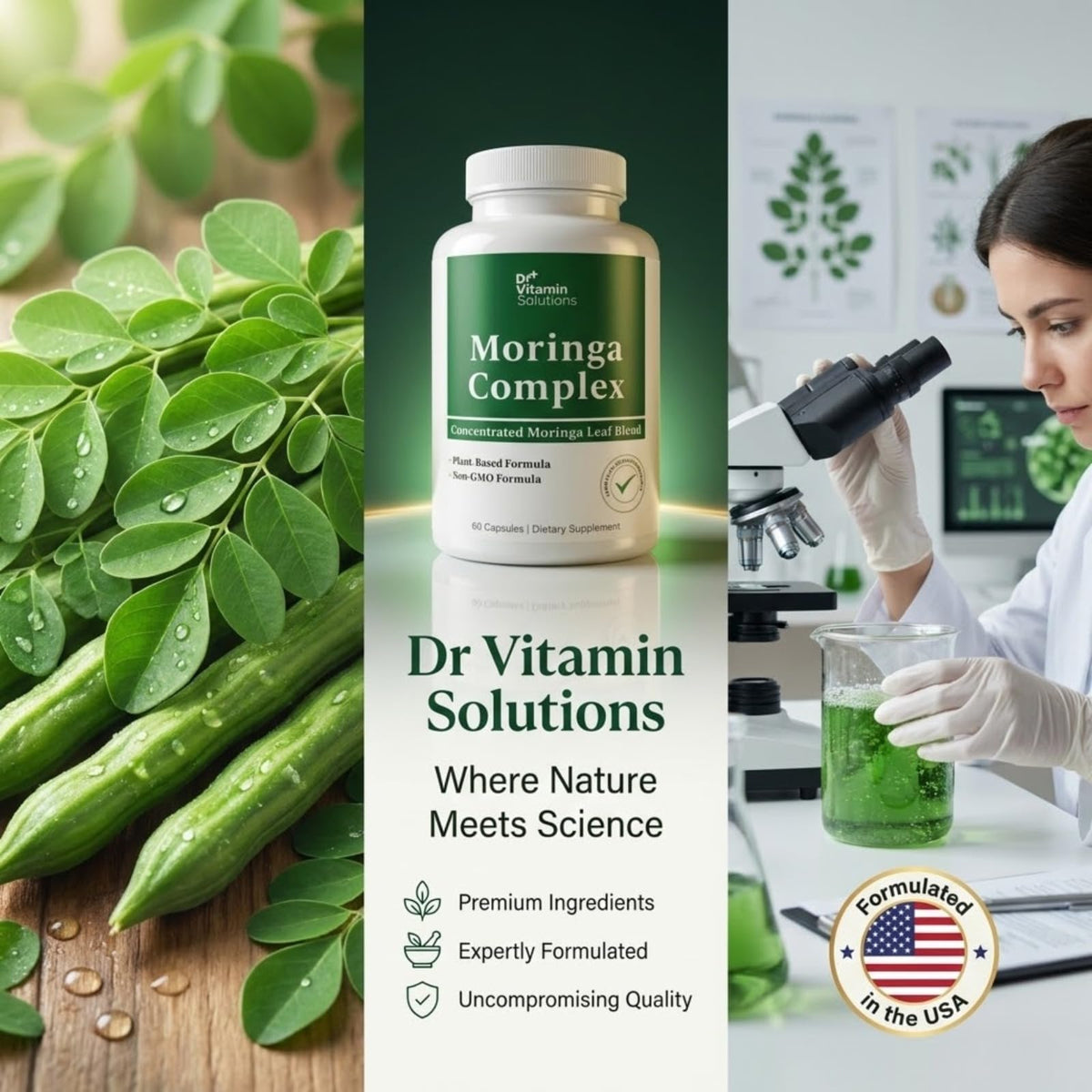 Moringa Oleifera Capsules with 20:1 Leaf Extract F31176