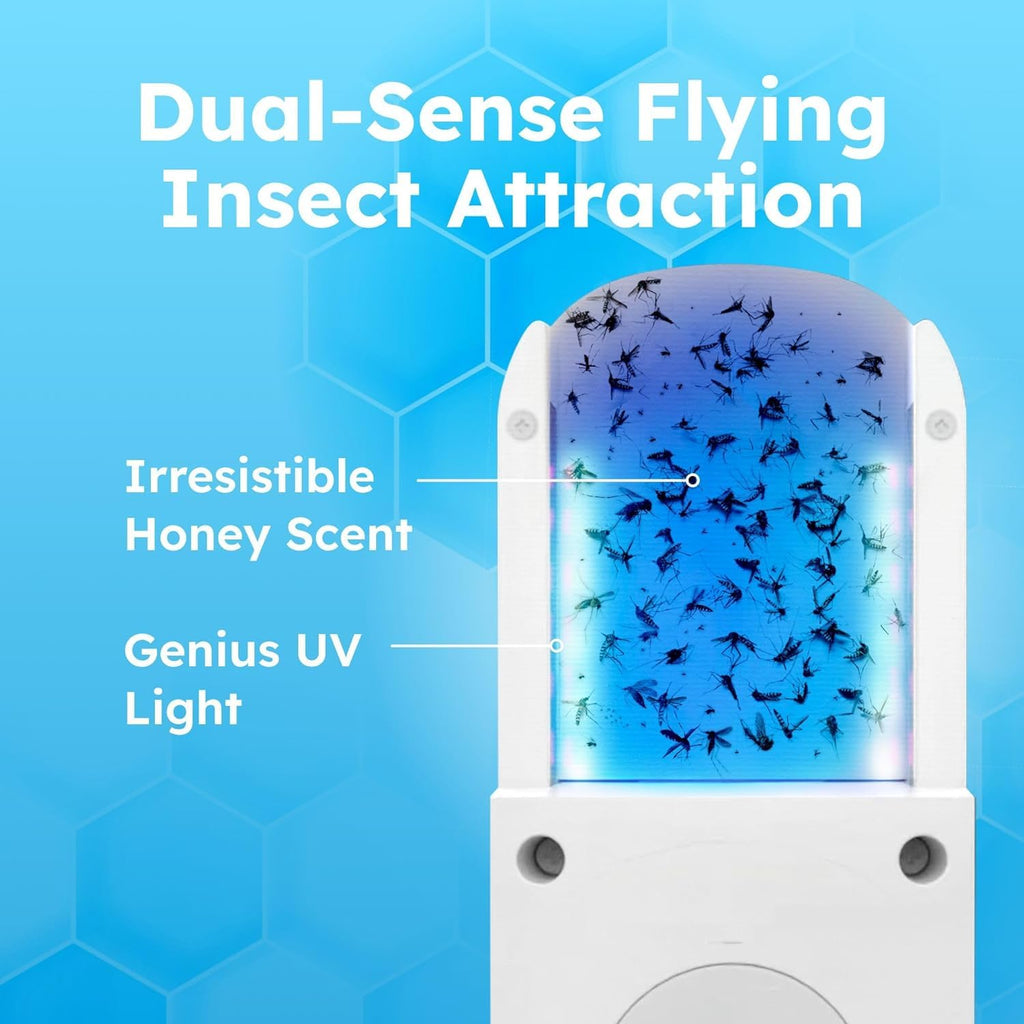 Fruit Fly Trap with UV Light L85357