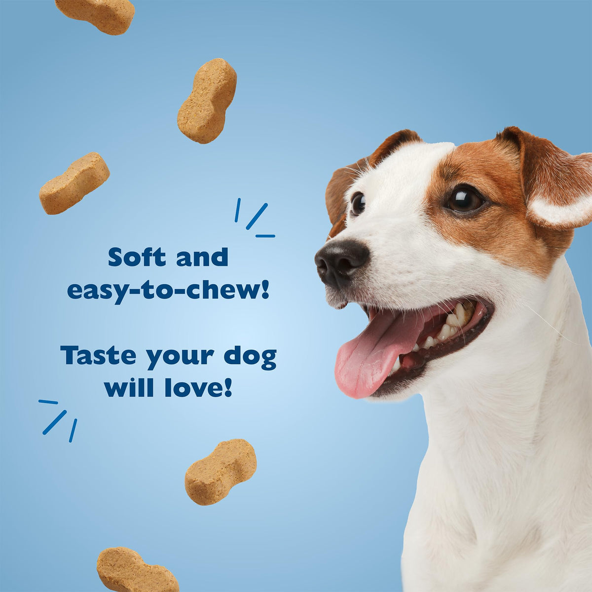 Peanut Butter Flavor Dog Treats 10oz 4-Pack M325505