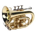 Bb Pocket Trumpet, Ni Plated Brass with 7C Mouthpiece Z59585