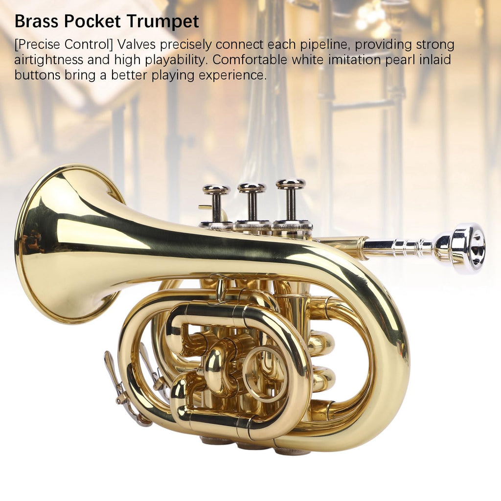 Bb Pocket Trumpet, Ni Plated Brass with 7C Mouthpiece Z59585