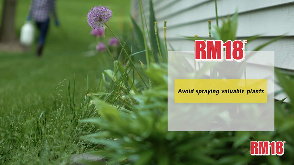Fast-Acting Weed and Grass Killer, 64-ounce Z410