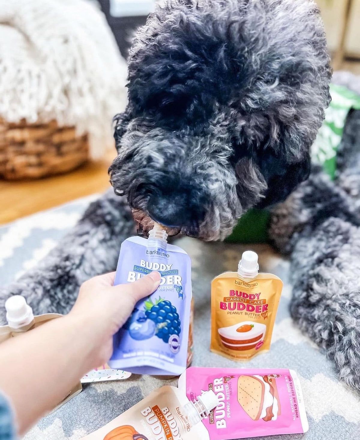 12pk Variety Pack 100% All Natural Peanut Butter for Dogs W1202