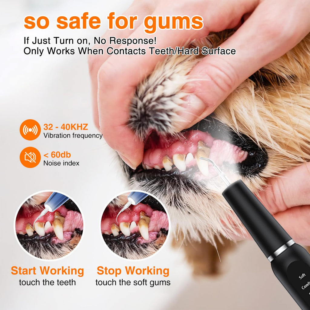 Ultrasonic Dog Plaque Remover with LED Light I923448