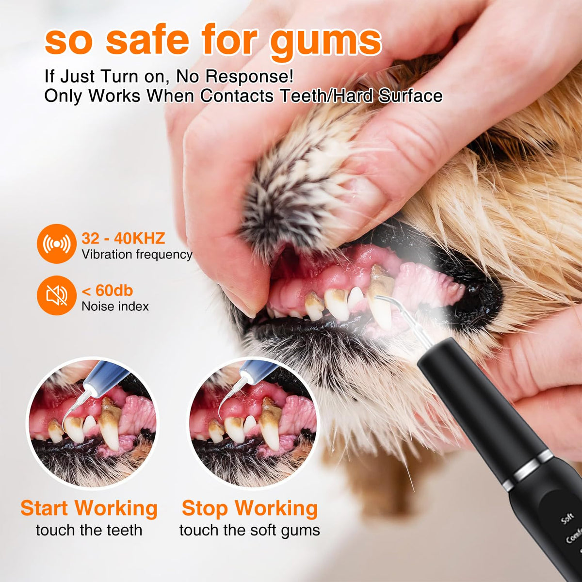 Ultrasonic Dog Plaque Remover with LED Light I923448