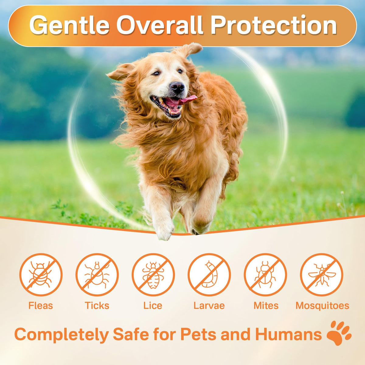 Flea and Tick Prevention for Dogs Chew A607
