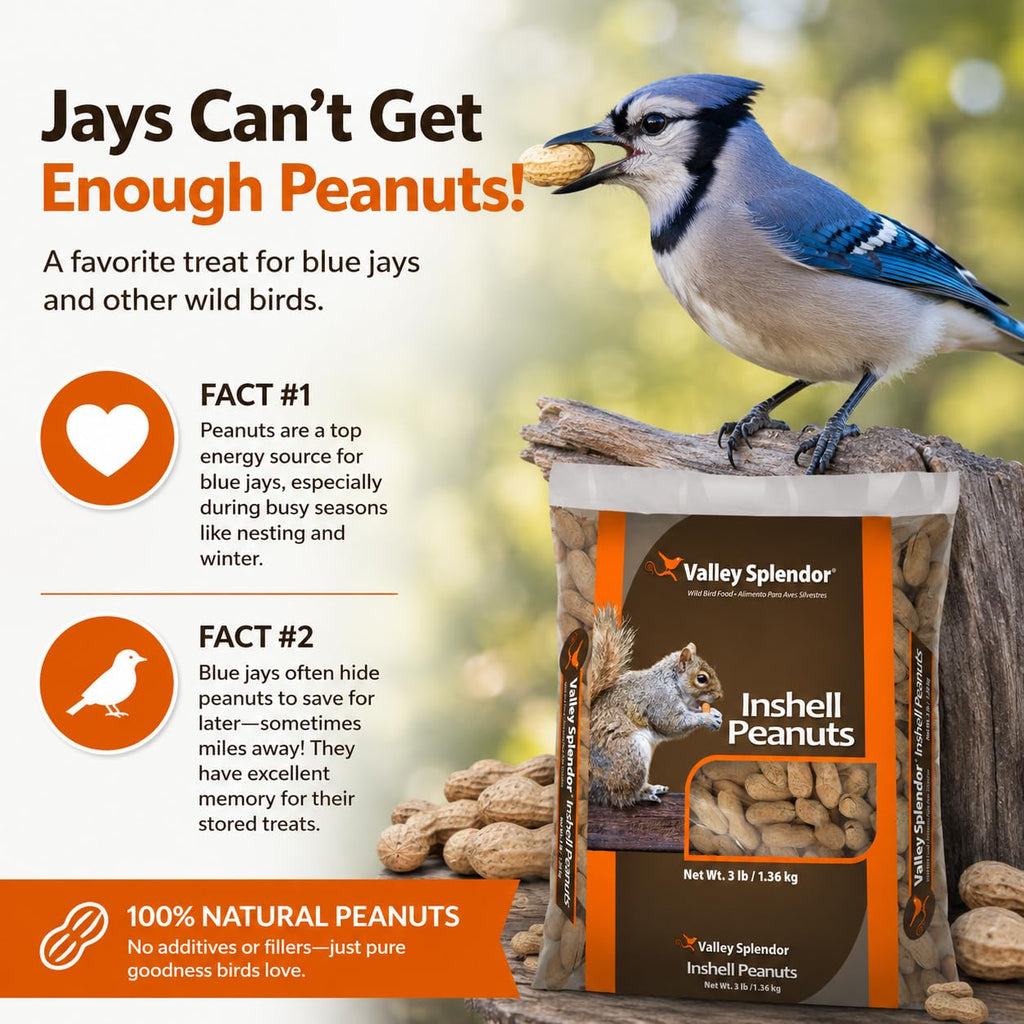 Peanuts In A Shell 3lbs C647