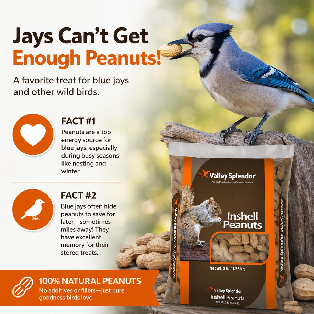 Peanuts In A Shell 3lbs C647