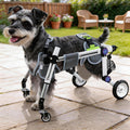 Dog Wheelchair for Small Dogs Z8960