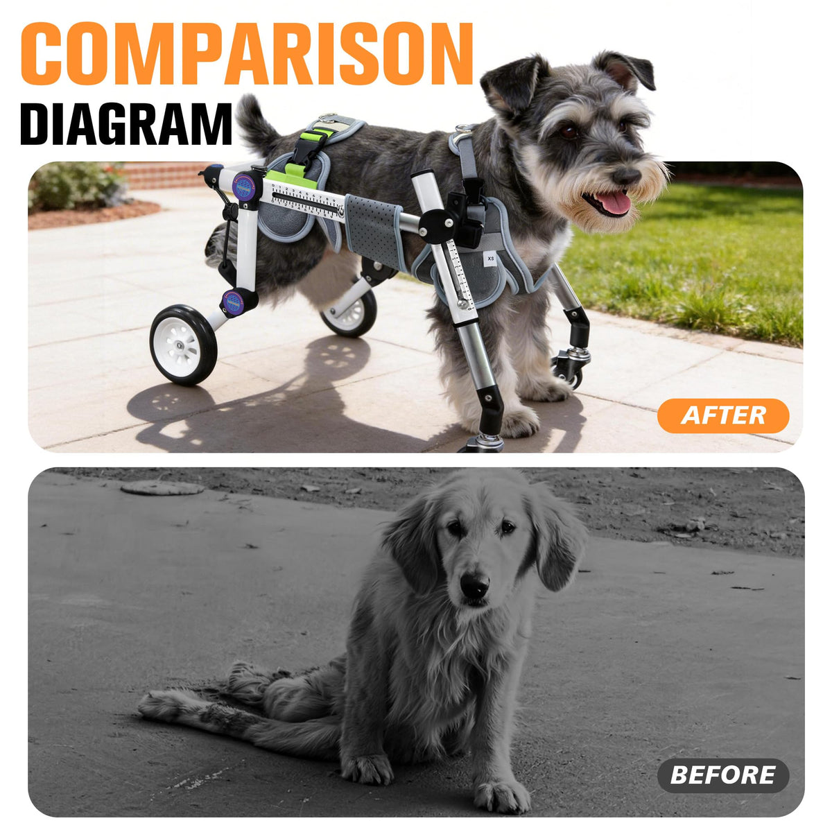 Dog Wheelchair for Small Dogs Z8960