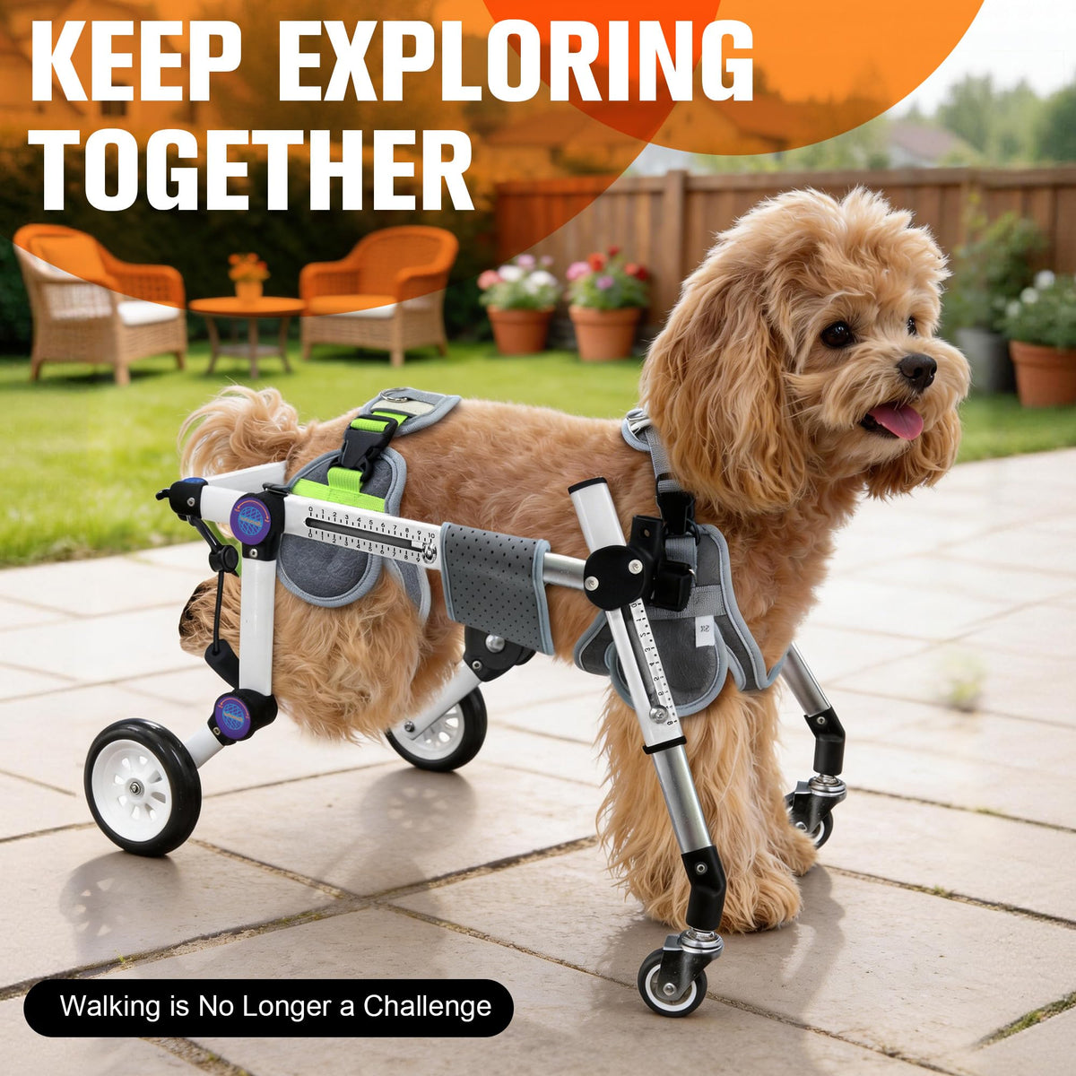 Dog Wheelchair for Small Dogs Z8960