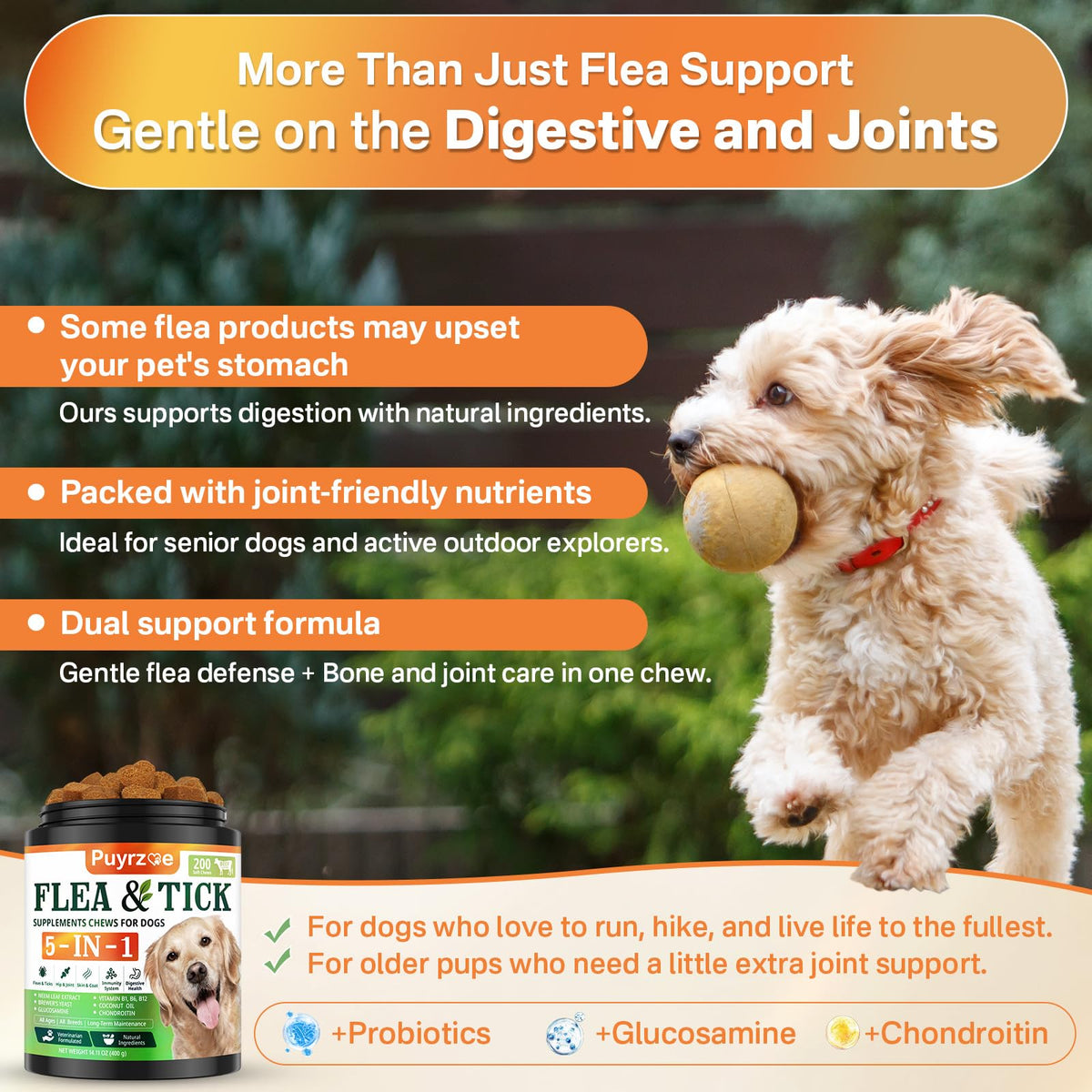 Flea and Tick Prevention for Dogs Chew A607