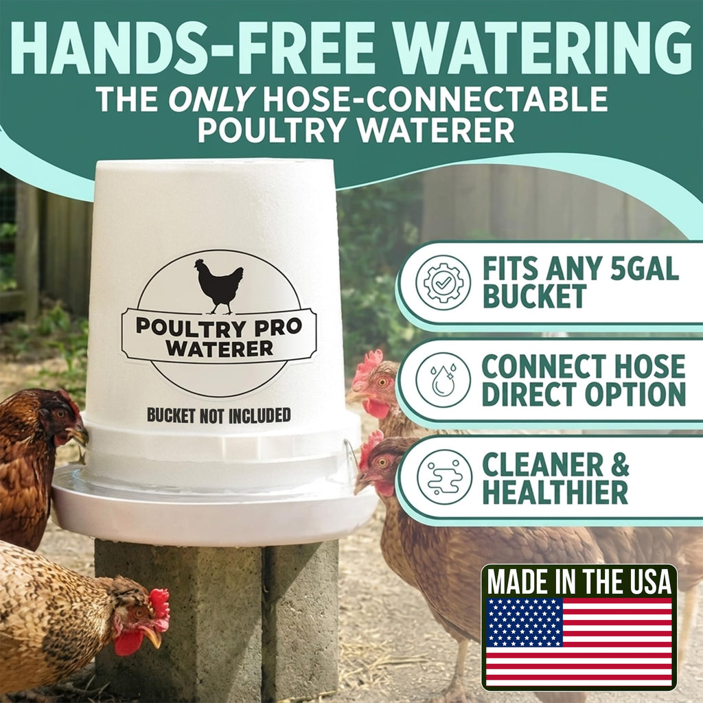 Chicken Feeder and Waterer Set with 3 Ports J2639