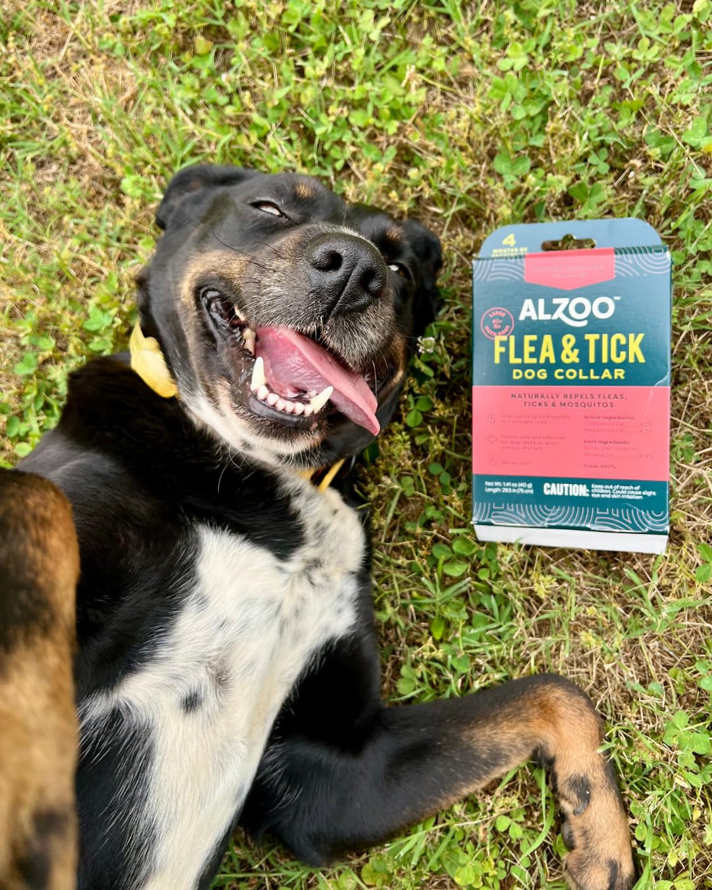 Plant Based Flea & Tick Dog Collar R46024