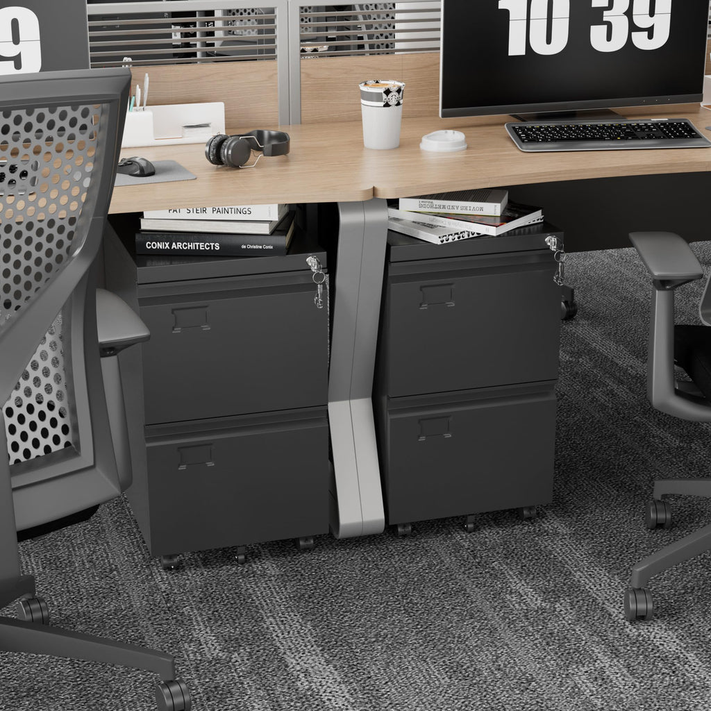 2 Drawer Black Metal File Cabinet with Lock X742878
