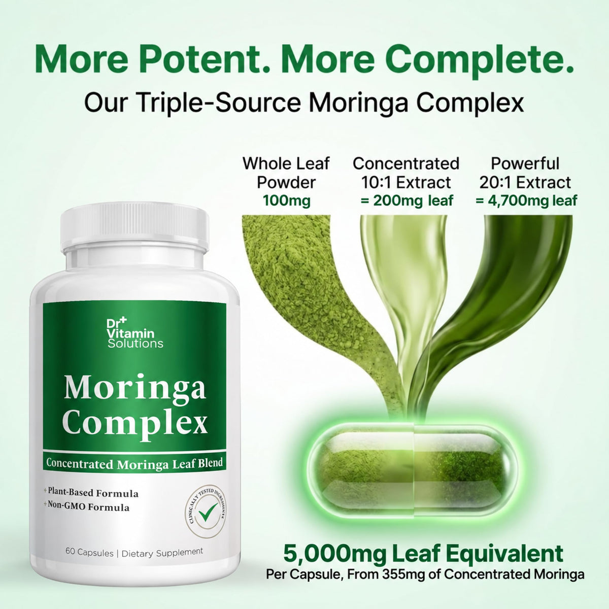 Moringa Oleifera Capsules with 20:1 Leaf Extract F31176