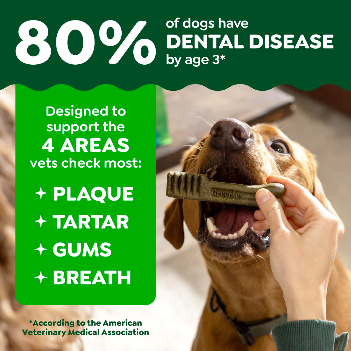Large Natural Dental Dog Treats, 24 Count D934