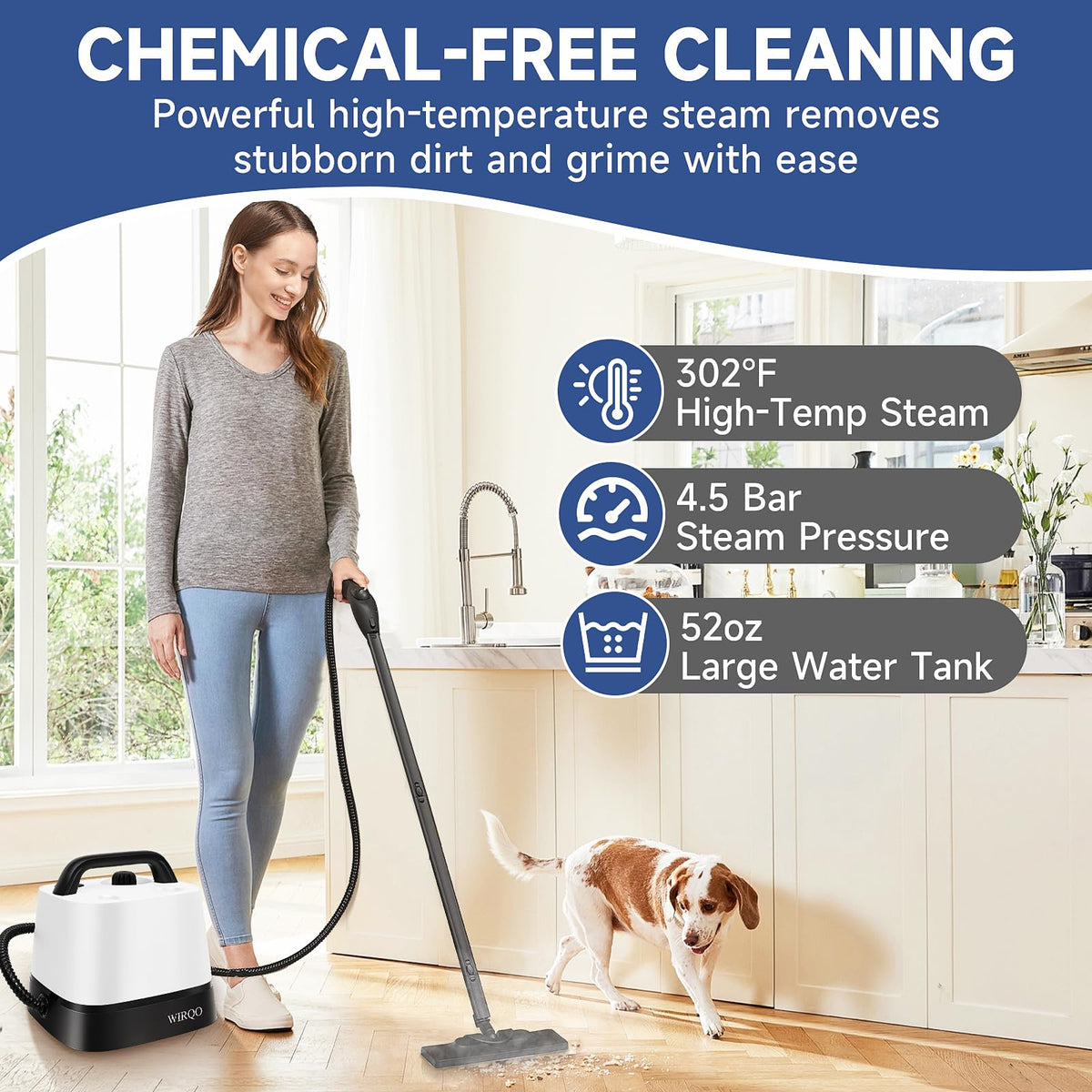 Multipurpose Steam Cleaner R984880