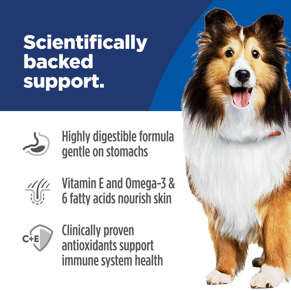 Sensitive Stomach & Skin Wet Dog Food B13632