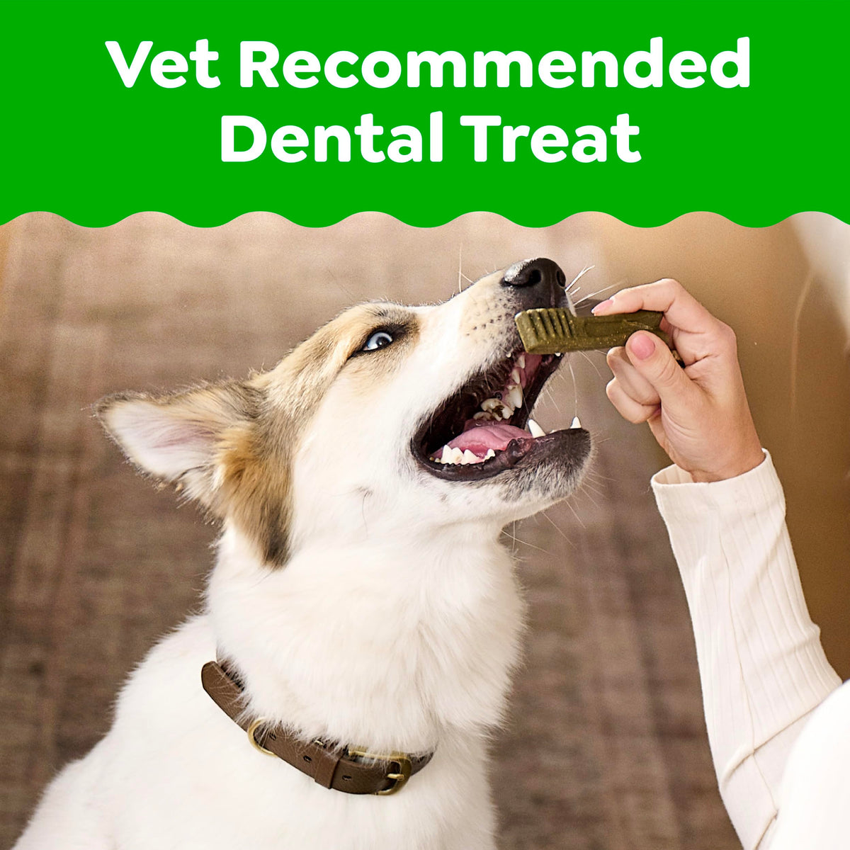 Large Natural Dental Dog Treats, 24 Count D934