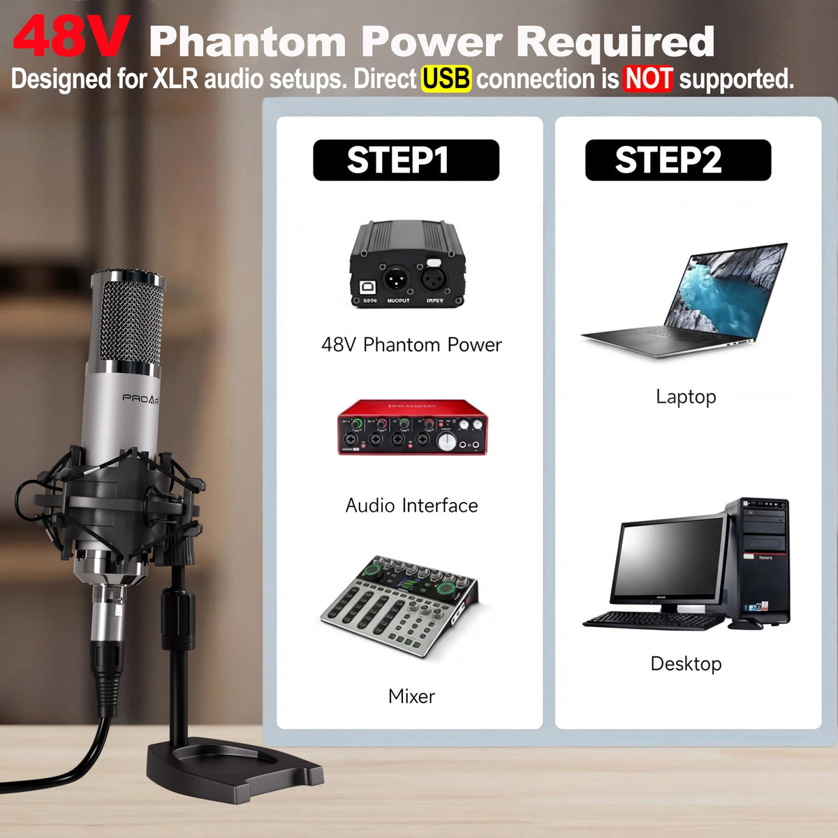 XLR Condenser Microphone with Desktop Stand T1073