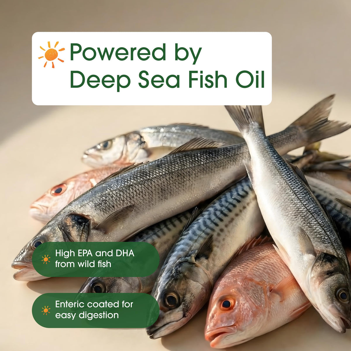 Omega-3 Fish Oil 3,000mg 240 Softgels F280