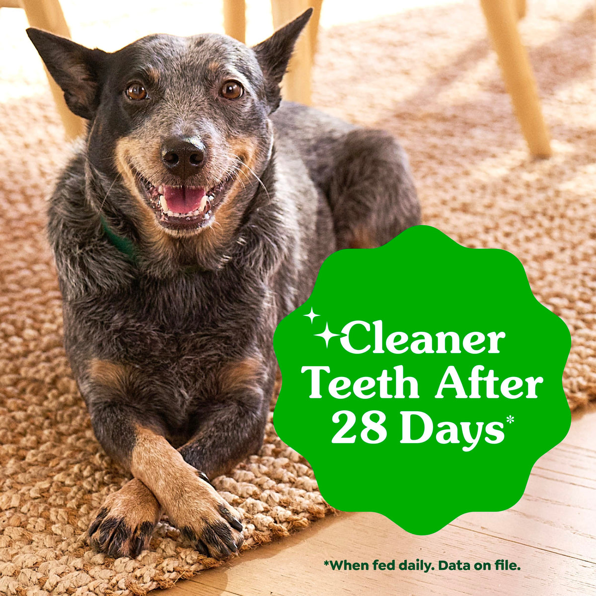 Large Natural Dental Dog Treats, 24 Count D934